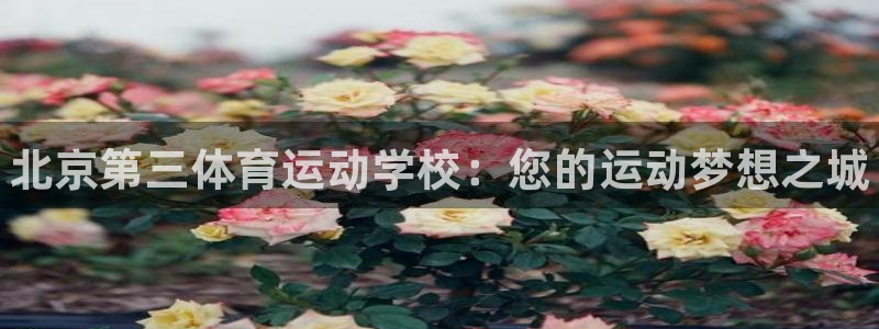 一竞技官方正版app娱乐代理怎么样：北京第三体育运动