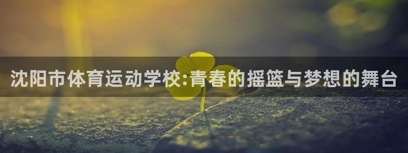 一竞技官网下载：沈阳市体育运动学校:青春的摇篮与梦想
