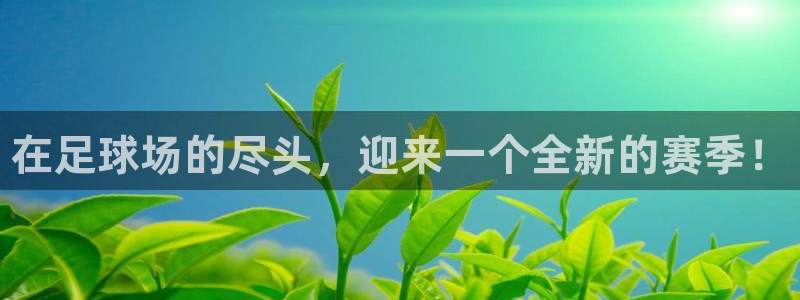 一竞技官方正版app代理：在足球场的尽头，迎来一个全