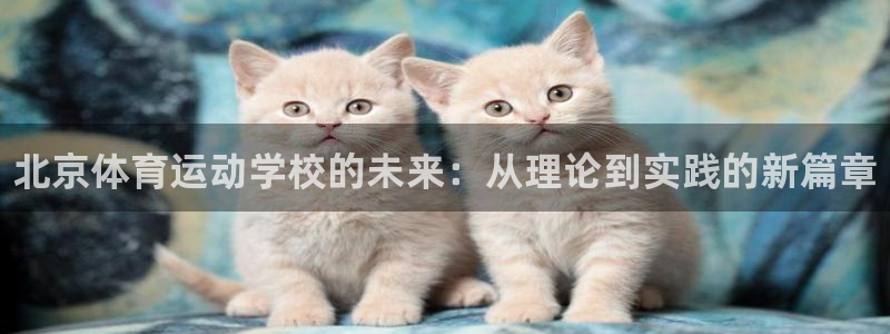 一竞技官方正版app娱乐是那个系列的台子