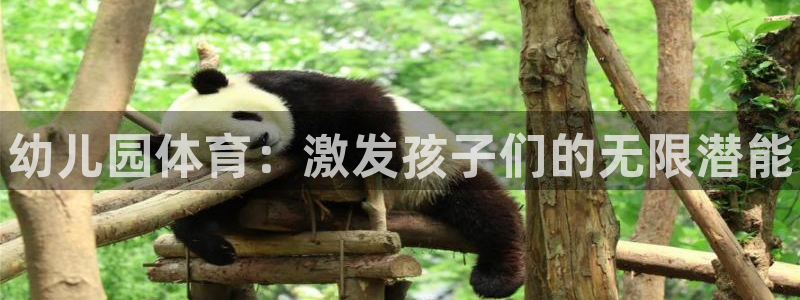 一竞技官方正版app官方：幼儿园体育：激发孩子们的无