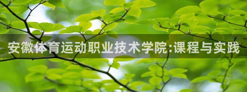 一竞技官网下载招商电话地址查询：安徽体育运动职业技术