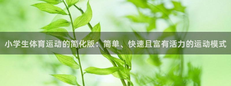 一竞技官网下载开户：小学生体育运动的简化版：简单、快