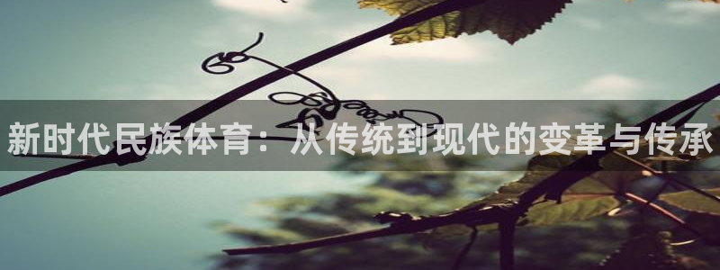 一竞技官方正版app代理：新时代民族体育：从传统到现