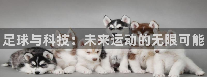 一竞技官网下载平台APP：足球与科技：未来运动的无限