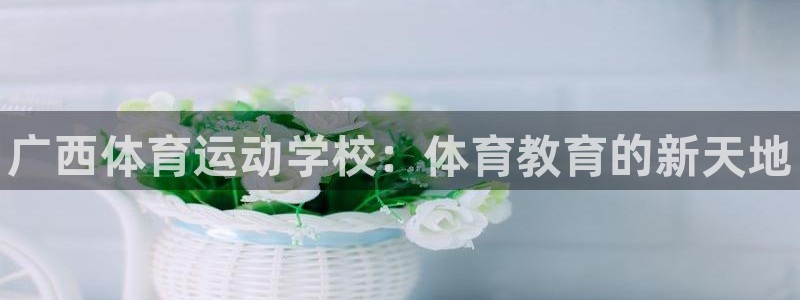 一竞技官方正版app娱乐网站：广西体育运动学校：体育教育的新
