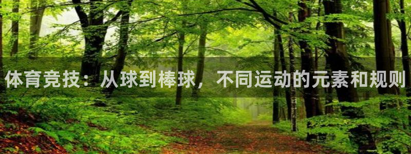 一竞技官方正版app娱乐是那个系列的台子：体育竞技：从球到棒