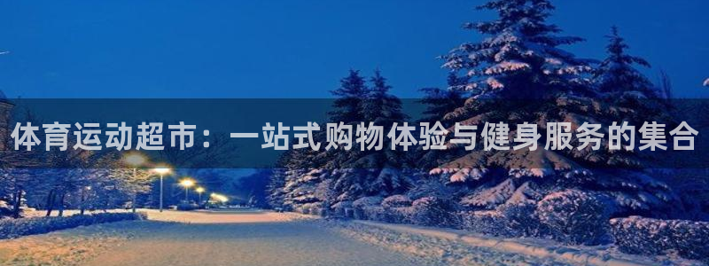 一竞技官网下载软件：体育运动超市：一站式购物体验与健