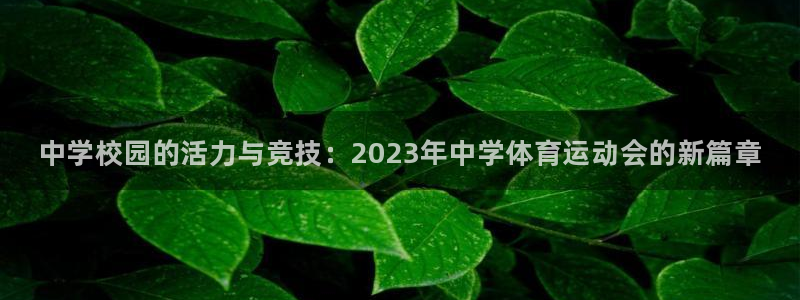 一竞技官方正版app官方：中学校园的活力与竞技：20
