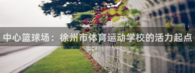 一竞技官网下载平台注册要钱吗安全吗：中心篮球场：徐州