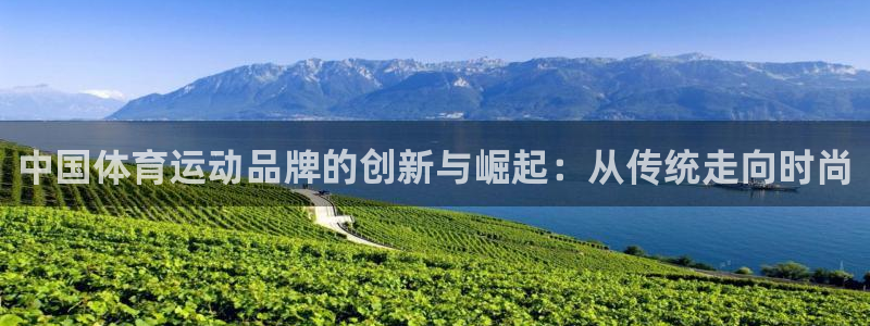 海南一竞技官网下载发展怎么样：中国体育运动品牌的创新