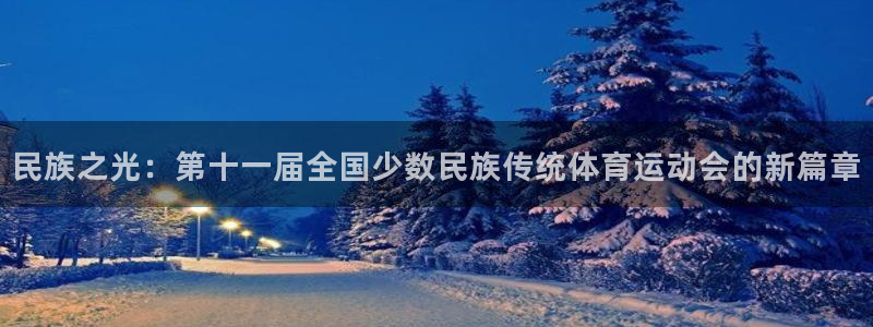 一竞技官网下载招商电话：民族之光：第十一届全国少数民