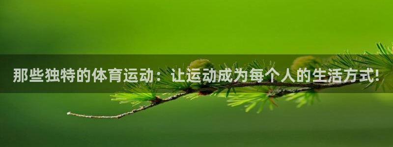 一竞技官网下载平台是正规平台吗：那些独特的体育运动：