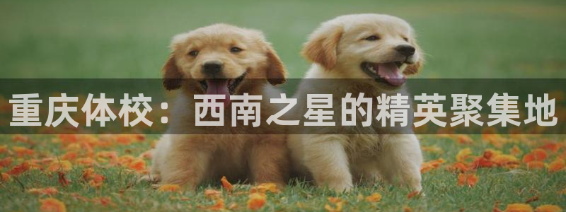 一竞技官网下载招商电话号码是多少号：重庆体校：西南之