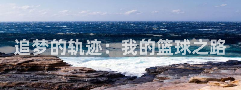 一竞技官方正版app新能源：追梦的轨迹：我的篮球之路