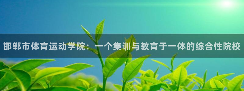 一竞技官方正版app集团官网首页：邯郸市体育运动学院