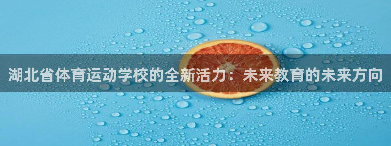 一竞技官网下载平台注册流程视频：湖北省体育运动学校的