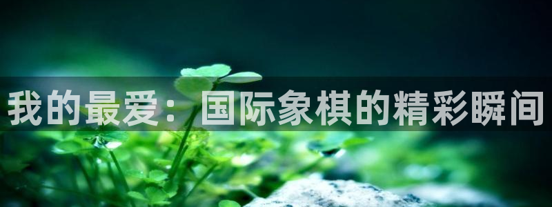 一竞技官方正版app五金厂：我的最爱：国际象棋的精彩