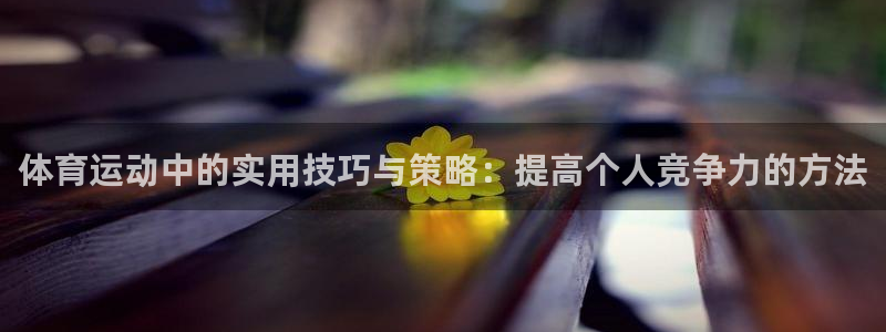 一竞技官方正版app娱乐代理怎么样：体育运动中的实用