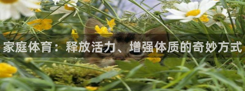 一竞技官方正版app集团官网首页网址：家庭体育：释放