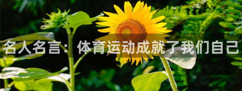 一竞技官方正版app娱乐首页网站大全：名人名言：体育