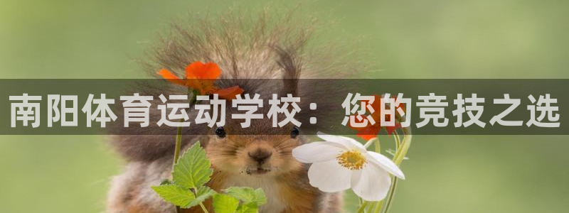 一竞技官方正版app集团：南阳体育运动学校：您的竞技之选