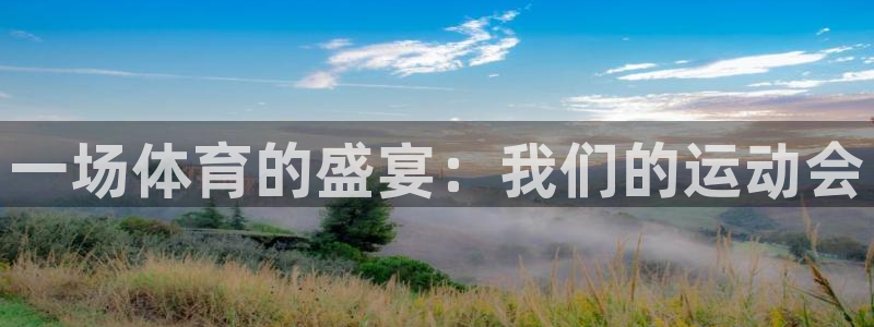 海南一竞技官网下载发展怎么样：一场体育的盛宴：我们的运动会