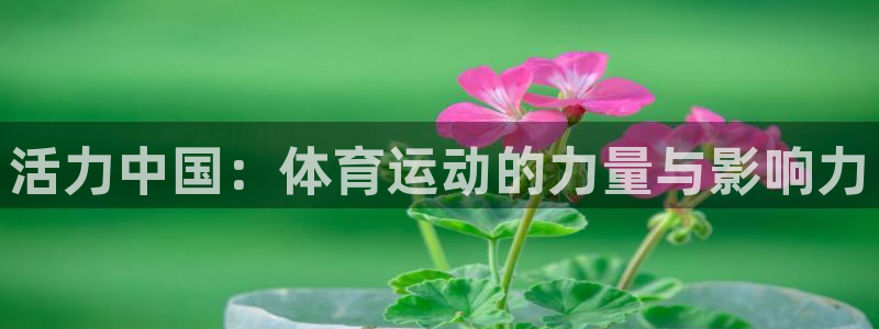 一竞技官网APP