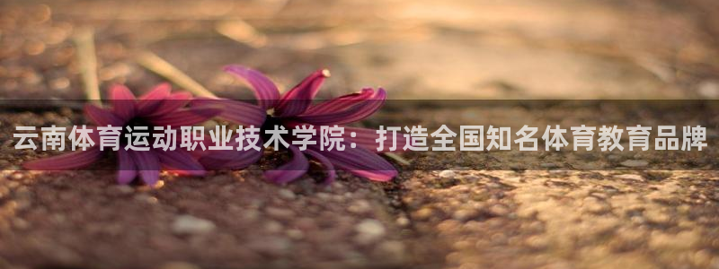 一竞技平台提现不出