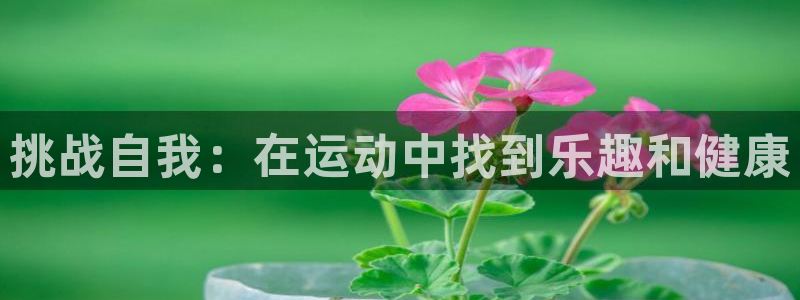 一竞技注册