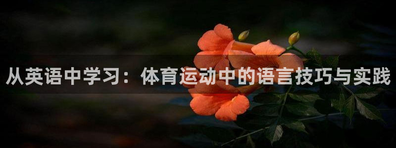 一竞技官网测速：从英语中学习：体育运动中的语言技巧与实践