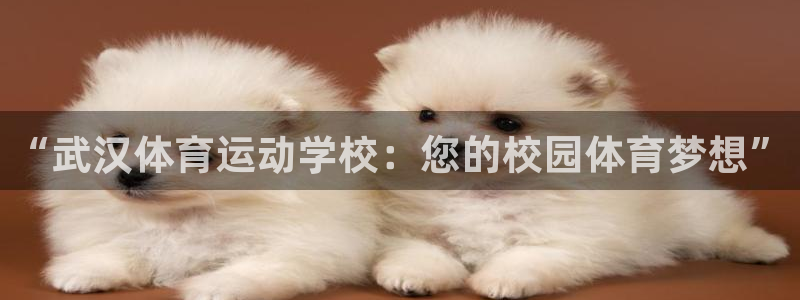 一竞技平台登录入口：“武汉体育运动学