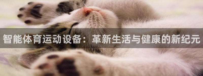  一竞技官网登录方式：智能体育运动设备：革新生活与健康的新纪元